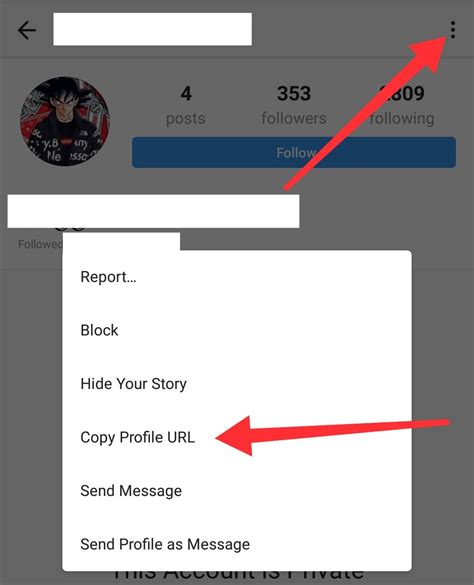 how to see instagram photos private|how to see post of private instagram account.